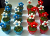 Lembrancinhas Vaso Flor FRETE GRATIS